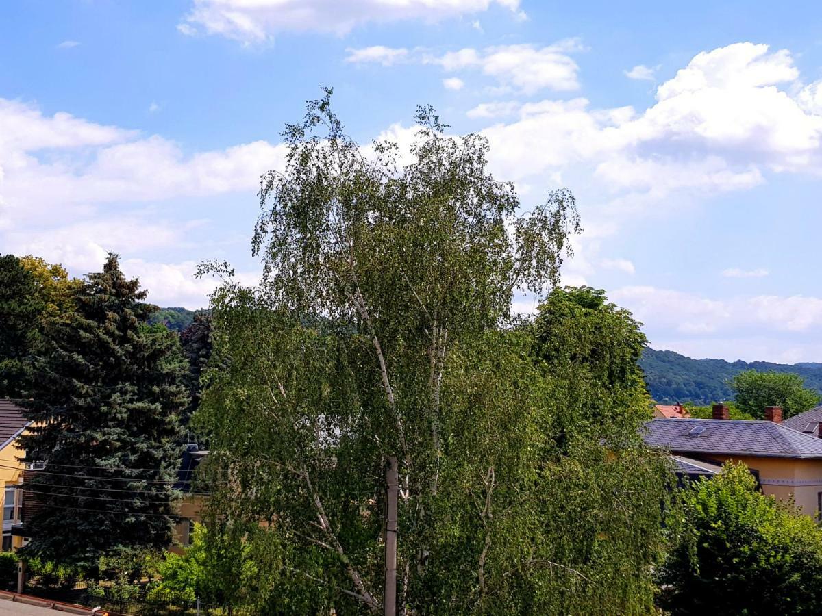 Ferienwohnung Elbhangblick - für 2 Personen Dresde Exterior foto